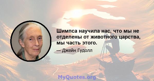 Шимпса научила нас, что мы не отделены от животного царства, мы часть этого.