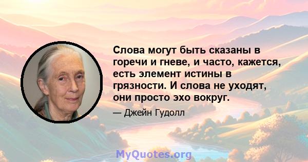 Слова могут быть сказаны в горечи и гневе, и часто, кажется, есть элемент истины в грязности. И слова не уходят, они просто эхо вокруг.