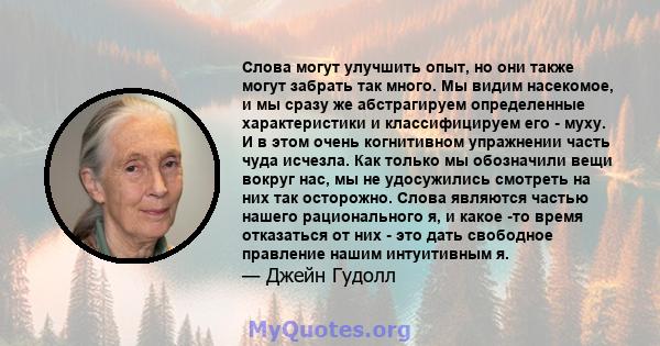 Слова могут улучшить опыт, но они также могут забрать так много. Мы видим насекомое, и мы сразу же абстрагируем определенные характеристики и классифицируем его - муху. И в этом очень когнитивном упражнении часть чуда