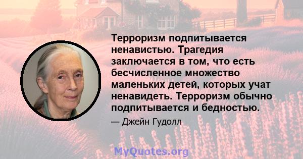 Терроризм подпитывается ненавистью. Трагедия заключается в том, что есть бесчисленное множество маленьких детей, которых учат ненавидеть. Терроризм обычно подпитывается и бедностью.