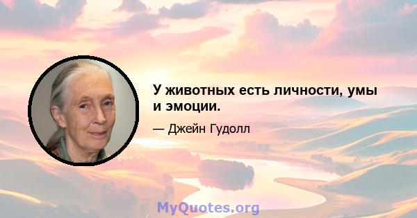 У животных есть личности, умы и эмоции.