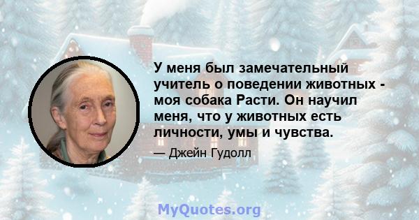 У меня был замечательный учитель о поведении животных - моя собака Расти. Он научил меня, что у животных есть личности, умы и чувства.