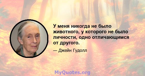 У меня никогда не было животного, у которого не было личности, одно отличающимся от другого.