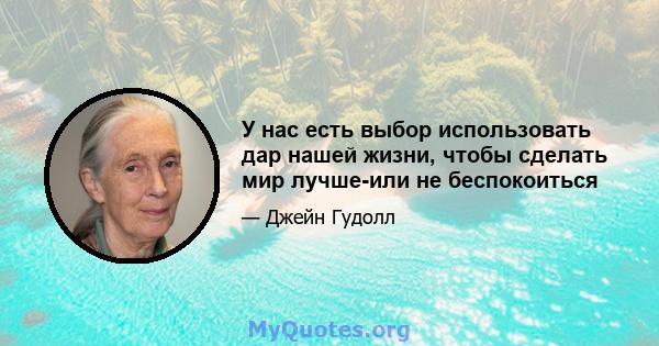 У нас есть выбор использовать дар нашей жизни, чтобы сделать мир лучше-или не беспокоиться