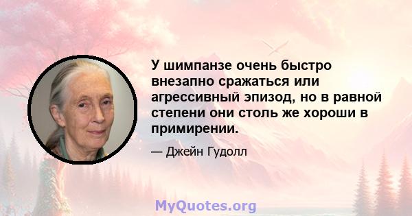 У шимпанзе очень быстро внезапно сражаться или агрессивный эпизод, но в равной степени они столь же хороши в примирении.