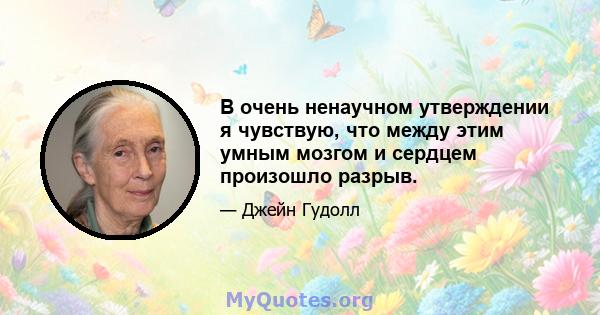 В очень ненаучном утверждении я чувствую, что между этим умным мозгом и сердцем произошло разрыв.