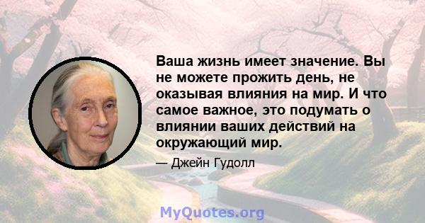 Ваша жизнь имеет значение. Вы не можете прожить день, не оказывая влияния на мир. И что самое важное, это подумать о влиянии ваших действий на окружающий мир.