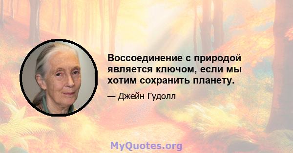 Воссоединение с природой является ключом, если мы хотим сохранить планету.