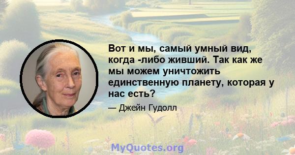 Вот и мы, самый умный вид, когда -либо живший. Так как же мы можем уничтожить единственную планету, которая у нас есть?