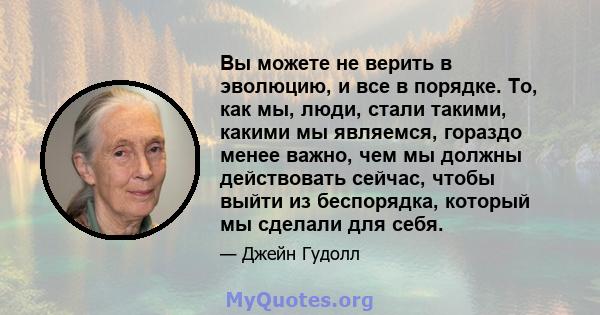 Вы можете не верить в эволюцию, и все в порядке. То, как мы, люди, стали такими, какими мы являемся, гораздо менее важно, чем мы должны действовать сейчас, чтобы выйти из беспорядка, который мы сделали для себя.