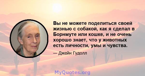 Вы не можете поделиться своей жизнью с собакой, как я сделал в Борнмуте или кошке, и не очень хорошо знает, что у животных есть личности, умы и чувства.