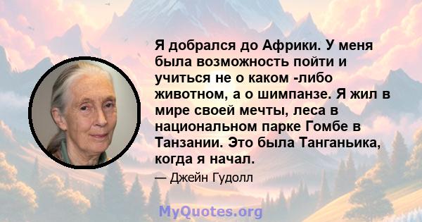 Я добрался до Африки. У меня была возможность пойти и учиться не о каком -либо животном, а о шимпанзе. Я жил в мире своей мечты, леса в национальном парке Гомбе в Танзании. Это была Танганьика, когда я начал.