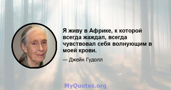 Я живу в Африке, к которой всегда жаждал, всегда чувствовал себя волнующим в моей крови.