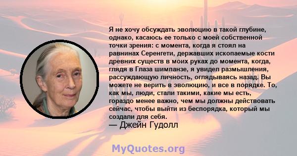 Я не хочу обсуждать эволюцию в такой глубине, однако, касаюсь ее только с моей собственной точки зрения: с момента, когда я стоял на равнинах Серенгети, державших ископаемые кости древних существ в моих руках до