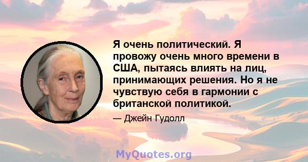 Я очень политический. Я провожу очень много времени в США, пытаясь влиять на лиц, принимающих решения. Но я не чувствую себя в гармонии с британской политикой.