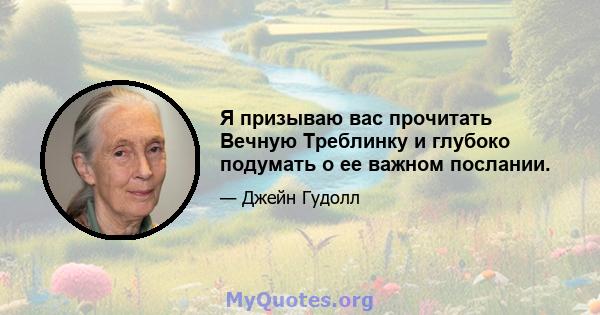 Я призываю вас прочитать Вечную Треблинку и глубоко подумать о ее важном послании.