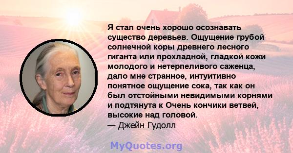 Я стал очень хорошо осознавать существо деревьев. Ощущение грубой солнечной коры древнего лесного гиганта или прохладной, гладкой кожи молодого и нетерпеливого саженца, дало мне странное, интуитивно понятное ощущение