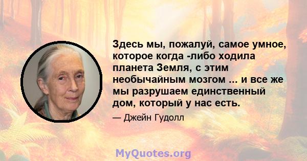 Здесь мы, пожалуй, самое умное, которое когда -либо ходила планета Земля, с этим необычайным мозгом ... и все же мы разрушаем единственный дом, который у нас есть.