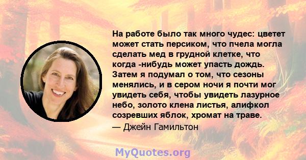 На работе было так много чудес: цветет может стать персиком, что пчела могла сделать мед в грудной клетке, что когда -нибудь может упасть дождь. Затем я подумал о том, что сезоны менялись, и в сером ночи я почти мог