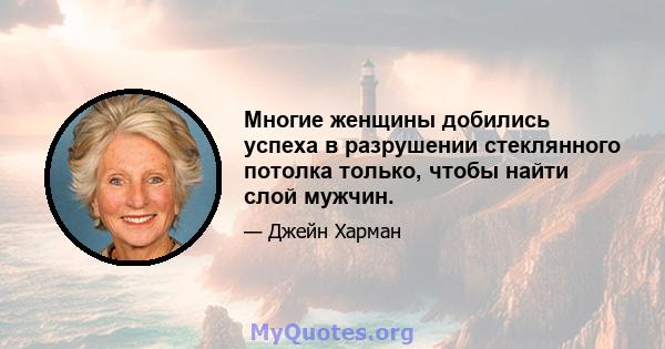 Многие женщины добились успеха в разрушении стеклянного потолка только, чтобы найти слой мужчин.