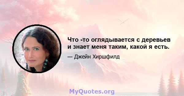 Что -то оглядывается с деревьев и знает меня таким, какой я есть.