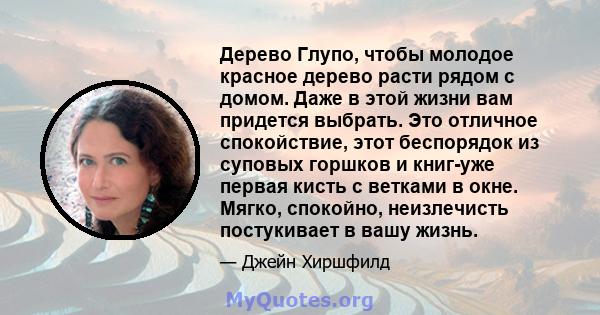 Дерево Глупо, чтобы молодое красное дерево расти рядом с домом. Даже в этой жизни вам придется выбрать. Это отличное спокойствие, этот беспорядок из суповых горшков и книг-уже первая кисть с ветками в окне. Мягко,