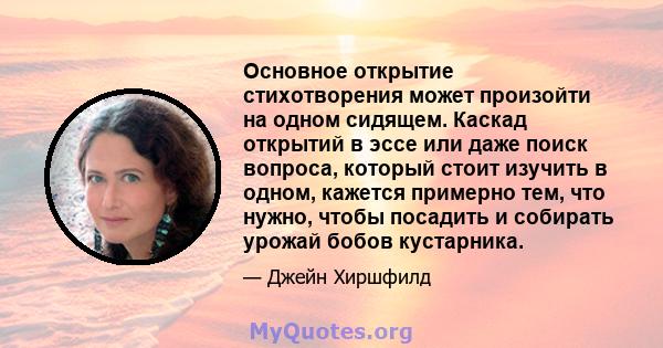 Основное открытие стихотворения может произойти на одном сидящем. Каскад открытий в эссе или даже поиск вопроса, который стоит изучить в одном, кажется примерно тем, что нужно, чтобы посадить и собирать урожай бобов