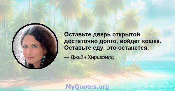 Оставьте дверь открытой достаточно долго, войдет кошка. Оставьте еду, это останется.