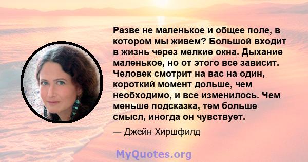 Разве не маленькое и общее поле, в котором мы живем? Большой входит в жизнь через мелкие окна. Дыхание маленькое, но от этого все зависит. Человек смотрит на вас на один, короткий момент дольше, чем необходимо, и все