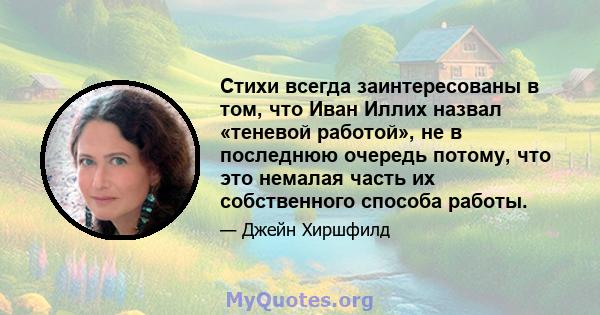 Стихи всегда заинтересованы в том, что Иван Иллих назвал «теневой работой», не в последнюю очередь потому, что это немалая часть их собственного способа работы.