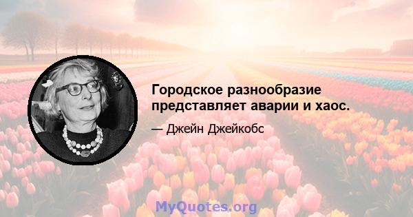 Городское разнообразие представляет аварии и хаос.