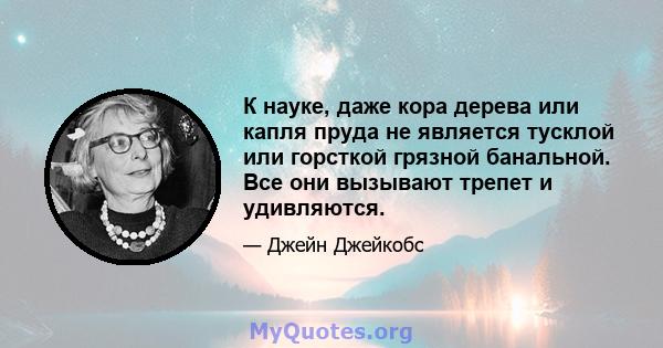 К науке, даже кора дерева или капля пруда не является тусклой или горсткой грязной банальной. Все они вызывают трепет и удивляются.