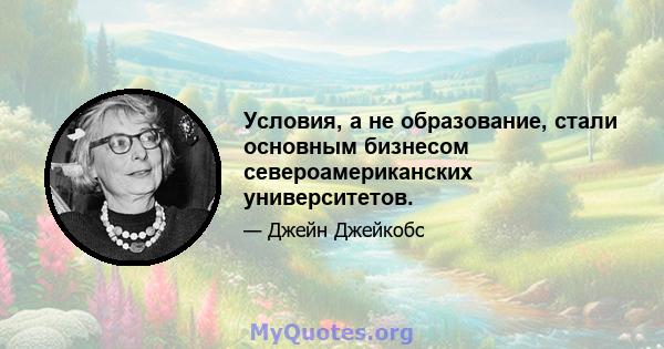 Условия, а не образование, стали основным бизнесом североамериканских университетов.