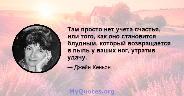 Там просто нет учета счастья, или того, как оно становится блудным, который возвращается в пыль у ваших ног, утратив удачу.