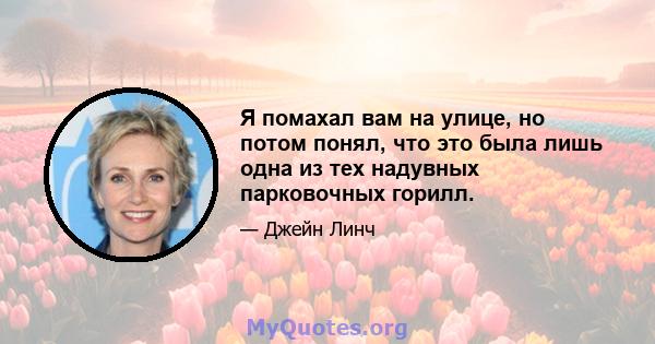 Я помахал вам на улице, но потом понял, что это была лишь одна из тех надувных парковочных горилл.