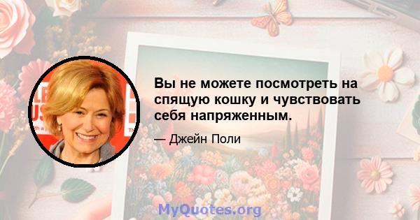 Вы не можете посмотреть на спящую кошку и чувствовать себя напряженным.