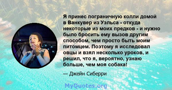 Я принес пограничную колли домой в Ванкувер из Уэльса - откуда некоторые из моих предков - и нужно было бросить ему вызов другим способом, чем просто быть моим питомцем. Поэтому я исследовал овцы и взял несколько