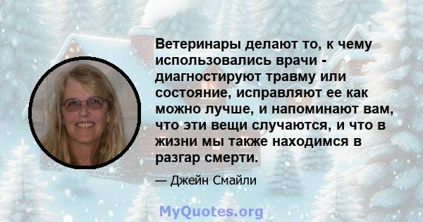 Ветеринары делают то, к чему использовались врачи - диагностируют травму или состояние, исправляют ее как можно лучше, и напоминают вам, что эти вещи случаются, и что в жизни мы также находимся в разгар смерти.