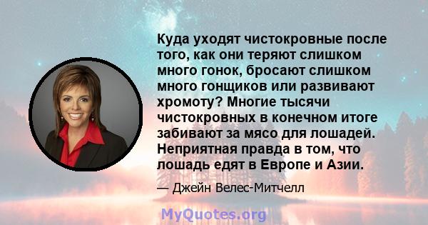 Куда уходят чистокровные после того, как они теряют слишком много гонок, бросают слишком много гонщиков или развивают хромоту? Многие тысячи чистокровных в конечном итоге забивают за мясо для лошадей. Неприятная правда