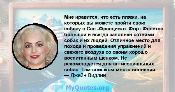 Мне нравится, что есть пляжи, на которых вы можете пройти свою собаку в Сан -Франциско. Форт Фанстон большой и всегда заполнен сотнями собак и их людей. Отличное место для похода и проведения упражнений и свежего