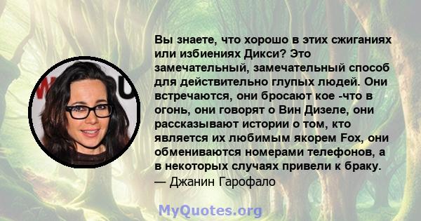 Вы знаете, что хорошо в этих сжиганиях или избиениях Дикси? Это замечательный, замечательный способ для действительно глупых людей. Они встречаются, они бросают кое -что в огонь, они говорят о Вин Дизеле, они