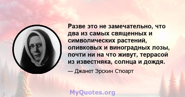 Разве это не замечательно, что два из самых священных и символических растений, оливковых и виноградных лозы, почти ни на что живут, террасой из известняка, солнца и дождя.