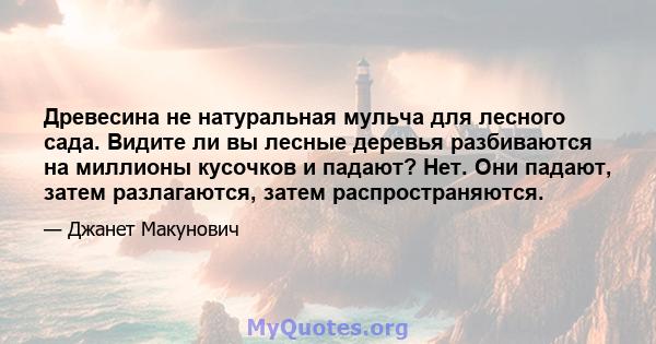 Древесина не натуральная мульча для лесного сада. Видите ли вы лесные деревья разбиваются на миллионы кусочков и падают? Нет. Они падают, затем разлагаются, затем распространяются.