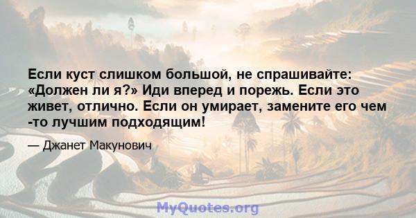 Если куст слишком большой, не спрашивайте: «Должен ли я?» Иди вперед и порежь. Если это живет, отлично. Если он умирает, замените его чем -то лучшим подходящим!