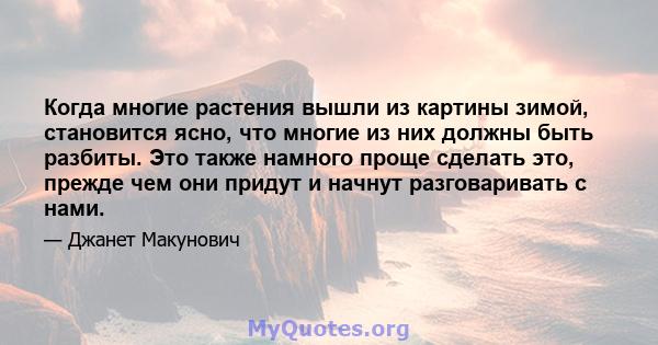 Когда многие растения вышли из картины зимой, становится ясно, что многие из них должны быть разбиты. Это также намного проще сделать это, прежде чем они придут и начнут разговаривать с нами.