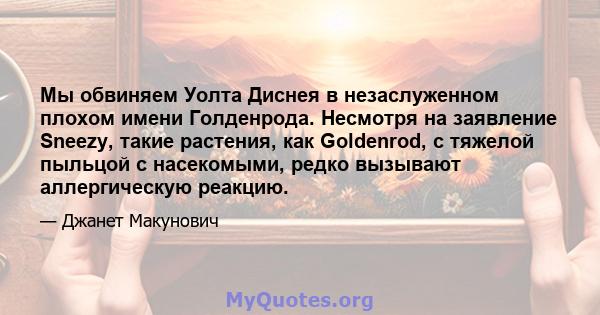 Мы обвиняем Уолта Диснея в незаслуженном плохом имени Голденрода. Несмотря на заявление Sneezy, такие растения, как Goldenrod, с тяжелой пыльцой с насекомыми, редко вызывают аллергическую реакцию.