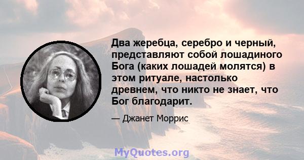 Два жеребца, серебро и черный, представляют собой лошадиного Бога (каких лошадей молятся) в этом ритуале, настолько древнем, что никто не знает, что Бог благодарит.