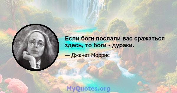 Если боги послали вас сражаться здесь, то боги - дураки.