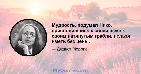 Мудрость, подумал Нико, прислонившись к своей щеке к своим натянутым грабли, нельзя иметь без цены.