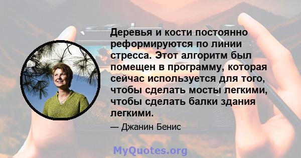 Деревья и кости постоянно реформируются по линии стресса. Этот алгоритм был помещен в программу, которая сейчас используется для того, чтобы сделать мосты легкими, чтобы сделать балки здания легкими.